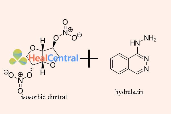 Kết hợp isosorbid dinitrat với hydralazin