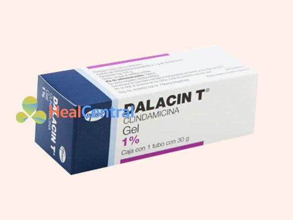 Dalacin T chứa kháng sinh Clindamycin