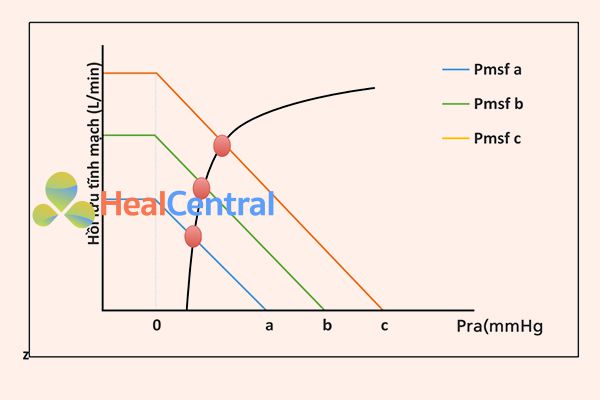 Hồi lưu tĩnh mạch và đường cong Frank-Starling. Pmsf có nghĩa là áp lực đổ đầy hệ thống, Pra áp lực nhĩ phải. Mỗi đường cong hồi lưu tĩnh mạch đại diện cho các mức độ khác nhau của tình trạng thể tích. Để di chuyển qua đường cong hồi lưu tĩnh mạch, cần phải thay đổi chức năng tim, không thay đổi trạng thái thể tích. Đường màu đen đại diện cho đường cong Frank-Starling cho một mức độ cụ thể của chức năng tim. Để chuyển từ đường cong màu xanh sang màu đỏ, Pmsf phải thay đổi từ a sang c mà không thay đổi kháng trở.