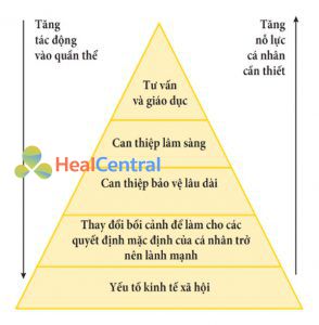 Hình 5. Kim tự tháp ảnh hưởng sức khỏe