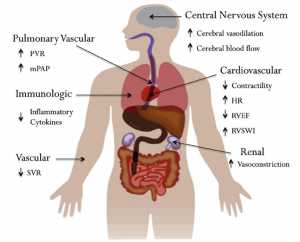 Systemic effects of hypercapnia. HR = heart rate; mPAP = mean pulmonary artery pressure; PVR = pulmonary vascular resistance; RVEF = right ventricular ejection fraction; RVSWI = right ventricular stroke work index; SVR = systemic vascular resistance.