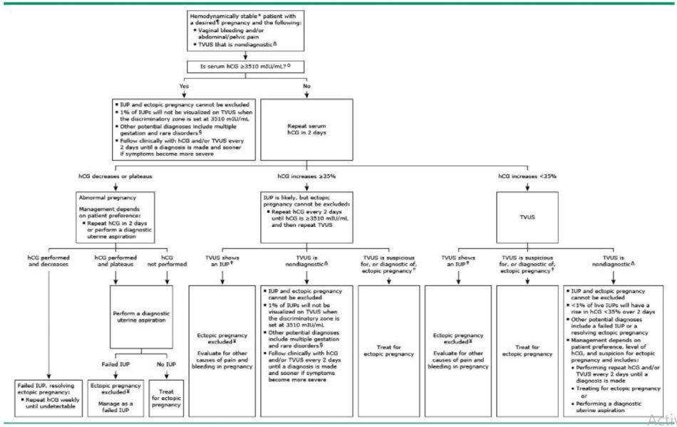 Evaluation for intrauterine pregnancy versus ectopic pregnancy in a hemodynamically stable patient